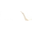 Ceralto Velario Polished Wandtegel - 31.6x100cm - 9.7mm - gerectificeerd - White SW638560
