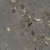 Ceralto Elaris Oak Carreau de sol - 60x60cm - 9.0mm - rectifié - Sassi anthracite p SW1242835