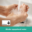 Hansgrohe Rebris e 1-gr bidetmengkraan met trekwaste metaal chroom SW802964