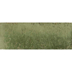 SAMPLE Ceralto Alvera Decor Carrelage mural 7,5x20cm 10mm Giada SW914227