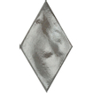 Ceralto Limestonea Rock Carreau mural 14x24cm 10mm grès cérame Muschio SW669769
