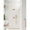 Hansgrohe Raindance select s douchette 120 3jets bronze brossé SW486452