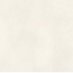 Ceralto Lazaro Vloertegel - 59.5x59.5cm - 9.0mm - gerectificeerd - Pure SW1130066