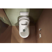 Hansgrohe Lavapura Douchewc - 37.5x59.5x40cm - spoelrandloos - geurafzuiging - warme luchtdroging - ladydouche - softclose - glans wit SW1413638