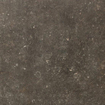 SAMPLE Ceralto Regalia Luxe 600X600 Elemental Desir Mat SW1122951
