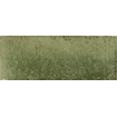 Ceralto Alvera Decor Wandtegel - 7.5x20cm - 10.0mm - Giada SW722646
