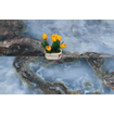 Douglas Jones Marbles Vloertegel - 60x120cm - 10.5mm - gerectificeerd - Navi SW543691