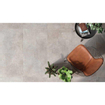 SAMPLE Sintesi Concept Stone Carrelage de sol et de mur 60x60cm 8.8mm rectifié R9 grès cérame Silver SW976454