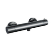 Fortifura Calvi douchekraan met glijstangset met staafhanddouche, gladde doucheslang Geborsteld Gunmetal PVD SW811919