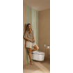 Hansgrohe iFrame Element E Plaque de commande - double chasse - bronze brossé SW1388329