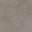 Ceralto Amaro Plank Vloertegel - 60x60cm - 9.0mm - gerectificeerd - Iron SW1473940