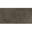 SAMPLE Terravito Sigillo wand- en vloertegel - 29.6x59.5cm - 8mm - gerectificeerd - Betonlook - Antraciet SW1130876