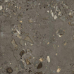 Ceralto Elaris Oak Carrelage de sol - 90x90cm - 9.0mm - rectifié - Sassi anthracite SW1431038