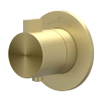 IVY TribeAfbouwdeel - pour Mitigeur thermostatique encastré - symmetry - rosace ronde - ACIER INOXYDABLE 316 - or mat brossé PVD SW1030958