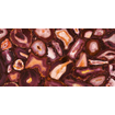 Ceralto Vespera Slate Vloertegel - 60x120cm - 6.0mm - gerectificeerd - Claret gold SW1446184
