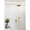Hansgrohe Raindance e douchearm plafond 30cm polished gold optic SW297623