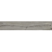 Terravito Darivo Terrastegel Grey 30x120x2cm Gerectificeerd Houtlook Mat Grijs SW420219