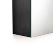 Saniclass Double Face Armoire toilette 80x70x15cm avec 2 portes et éclairage LED Black Wood SW8542