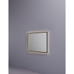Hotbath &MORE Miroir éclairage LED direct et indirect changement de couleur chauffage de miroir avec télécommande Noir brossé PVD SW1246055