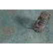Terravito Copuro wand- en vloertegel - 30x60cm - 10mm - Rechthoek - gerectificeerd - Betonlook - Groen mat SW542655