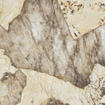 Ceralto Venara Polished Vloertegel - 120x120cm - 9.0mm - gerectificeerd - Desert soul SW1174864