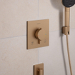 Hansgrohe Ecostat Comfort E Thermostat encastré – 2 fonctions – Bronze brossé SW1389947