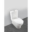 Villeroy & Boch Omnia Réservoir WC WC avec intérieur et duo bouton d'é[argne avec connexion latérale et arrière ceramic+ blanc 0124441