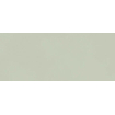 Ceralto Fragmenta Mosaic Wandtegel - 50x120cm - 8.5mm - gerectificeerd - Mint SW1174941