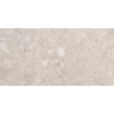 Vtwonen Tegels Composite Vloertegel - 30x60cm - 9.0mm - gerectificeerd - Light grey SW368228