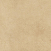 Ceralto Framel Vloertegel - 59.7x59.7cm - 9.0mm - gerectificeerd - Cinnamon SW1175204