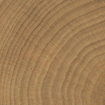 Vtwonen Carrelage Woodcirkle Carrelage de sol - 10x10cm - 9.5mm - Noyer SW1557784
