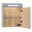 BRAUER Promise Armoire toilette 60x70x15cm avec 1 porte droite et éclairage LED Sunlit SW30770