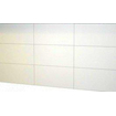Basic Start carreau mural 30x60cm rectifié blanc mat SW862808