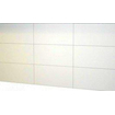 Basic Start carrelage mural 30x60cm rectifié blanc brillant SW862807