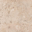 SAMPLE Ragno Eterna Carrelage sol et mural - 60x60cm - 8.5mm - rectifié - R10 - porcellanato Beige SW915203