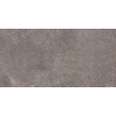 Beste koop Phorma carreau de sol 30x60cm 8.8mm rectifié musc mat SW444671
