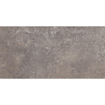 Beste koop Phorma carreau de sol 30x60cm 8.8mm rectifié musc mat SW444671