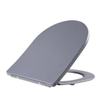 Wiesbaden Shade slim abattant WC softclose et quick release mat gris SW787724