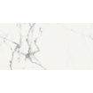 Ceralto Alabro Vein Vloertegel - 60x120cm - 6.0mm - gerectificeerd - Blanc SW669801