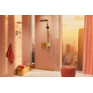 Hansgrohe Raindance alive showerpipe - 210/340 2 jet EcoSmart therm. pol.gold SW1388167