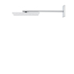Hansgrohe AXOR ShowerSolutions hoofddouche 300/300 1jet met douchearm 45cm 30x30cm chroom SW241745