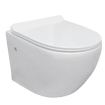 Nemo Go Aquaflow WC suspendu Pack porcelaine sans bride avec abattant fin frein de chute et déclipsable en duroplast blanc 50x36x37cm kit d'isolation et bâti-support avec réservoir UP100 et plaque Delta21 SW286733