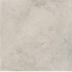 Ceralto Tivoli Accent Vloertegel - 59.7x59.7cm - 9.0mm - gerectificeerd - L.grey SW1175047