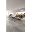 Ceralto Quinto Accent Carreau de sol - 30x60cm - 10.0mm - rectifié - Dust SW93938