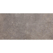 Beste koop Phorma carreau de sol 30x60cm 8.8mm rectifié musc mat SW444671