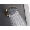 Hansgrohe Pulsify s hoofddouche 260 1jet ecosmart brushed bronze SW918026