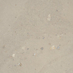 Ceralto Elaris Oak Carreau de sol - 60x60cm - 9.0mm - rectifié - Sabbia grigio SW1243258