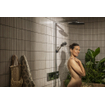 Hansgrohe Raindance alive showerpipe - 300 1 jet EcoSmart thermostaat chroom SW1387880