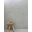 Terravito Evarno carreau mural - 25x50cm - plomb mat (gris) SW1126170