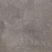 Beste koop Phorma carreau de sol 60x60cm 8.8mm rectifié musc mat SW440364